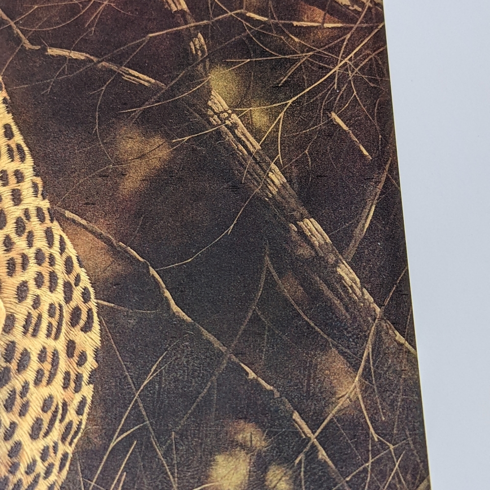 Andrew Bone NWOT African Mystique leopard art print brown black signed - Picture 5 of 9